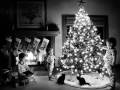 My Christmas Tree (Home Alone 2) 