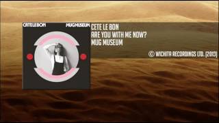 Cete Le Bon - Are You With Me Now