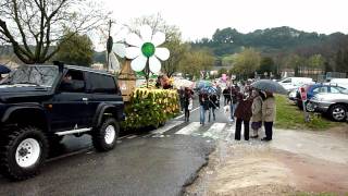 preview picture of video 'La 29 édition du carnaval la Motte en Provence'