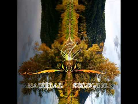 Cyber Motion - Nirvana