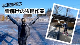 ついに雪が溶け始めました!!雪解けの牧場作業
