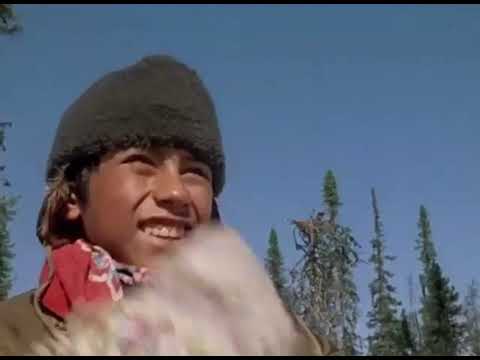 Cree hunters of mistassini