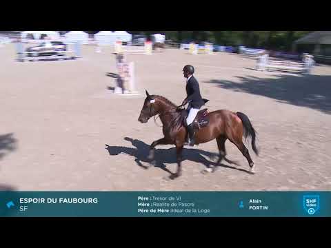CIR SHF 2018 - CSO Rosières 4 ans - Espoir du Faubourg