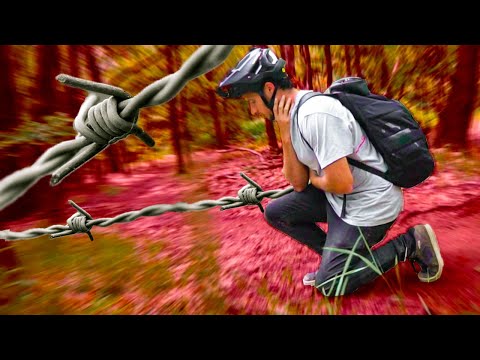 I VERGINED CUTTING MY HEAD OFF (be careful)