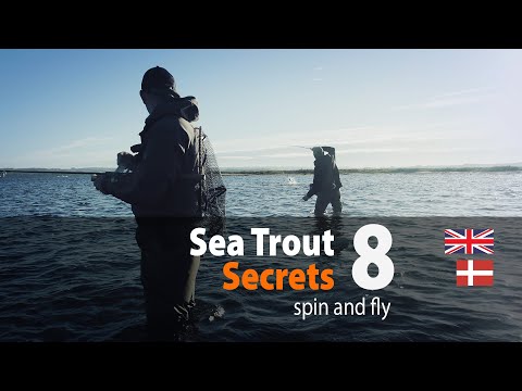 Sea Trout Secrets 8 spin and fly