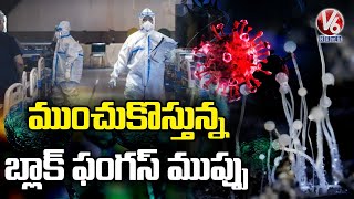 Special Discussion : ముంచుకొస్తున్న బ్లాక్ ఫంగస్ ముప్పు | Rising Black Fungus Cases