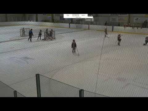 Pips - SapKo sininen U10 19.3.23 Sjoki