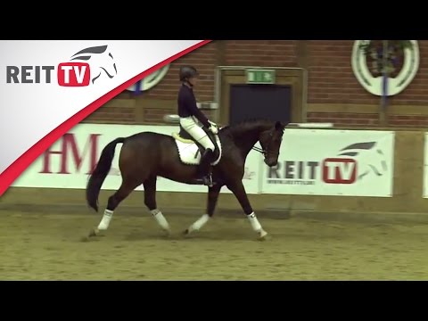 Der starke Schritt - Klaus Balkenhol in Leverkusen Teil 1f | Die Alten Meister