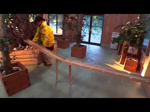 Guinea Pig Bridge Song [10 hours]