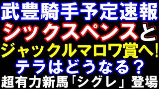 武豊騎手予定速報　シックスペンスとジャックルマロワ賞へ！アドマイヤテラはどうなる？　超有力新馬｢シグレ｣の単勝買いました