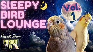Sleepy Birb Lounge [Vol. 1] Calm Piano Music for Birds | Parrot Music TV for Your Bird Room🎶