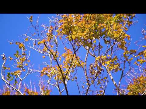 - Prudential Real Estate 4628 0033