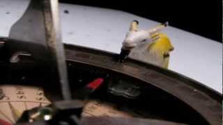 Secret Chiefs 3 - Medieval // Aylaqruh:hurqalyA [Other World]