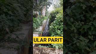 Download lagu Segedhe itu😱 #horror #ghost #horrortok #horrorstories mp3 Download lagu Segedhe itu😱 #horror #ghost #horrortok #horrorstories mp3