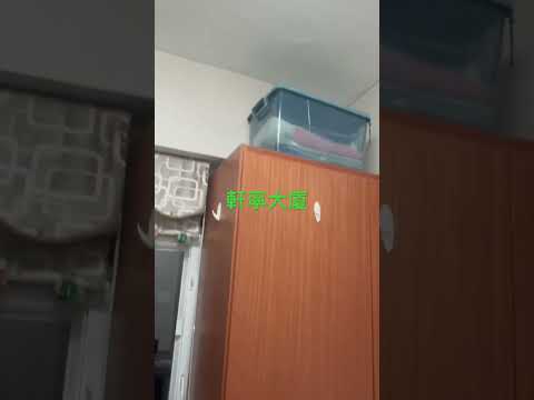 Henning House Youtube Video