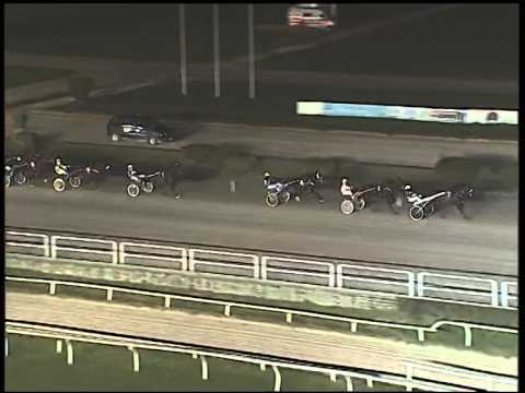 Trotto 30/12/2014 - 6° corsa