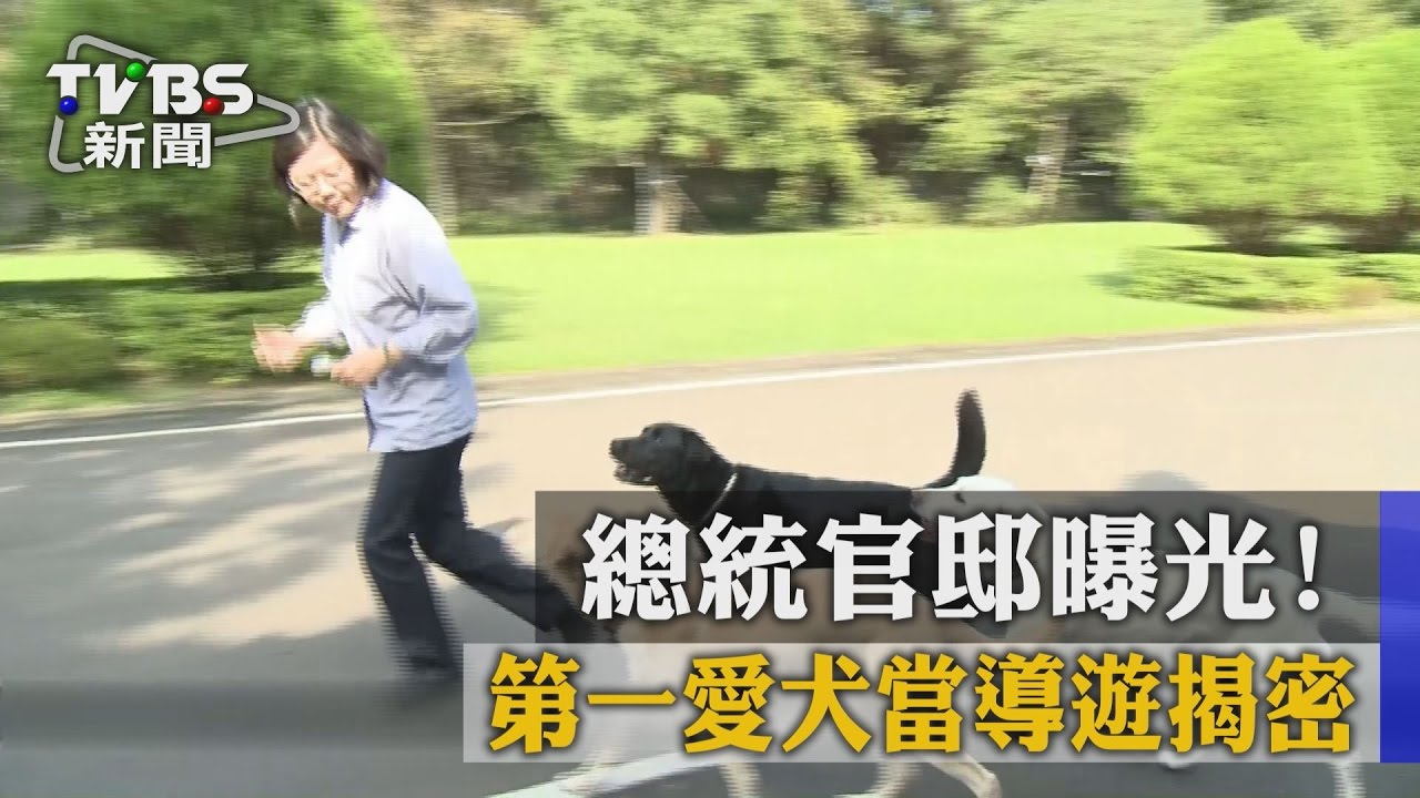 總統官邸曝光! 第一愛犬當導遊揭密
