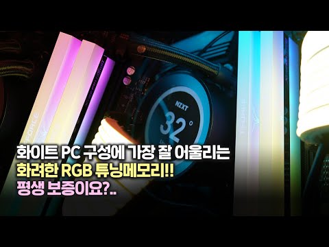 화이트 PC 구성에 딱!! RGB 튜닝메모리 TeamGroup T-Force DDR4-3600 CL18 XTREEM ARGB 화이트 패키지