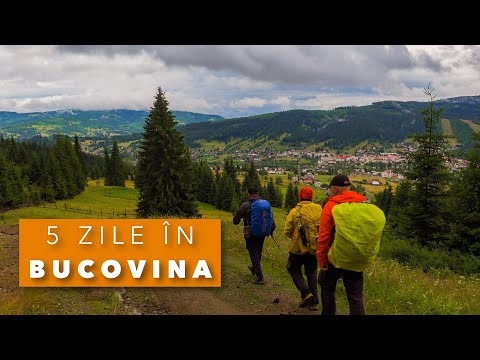 100 km pe Via Transilvanica prin Obcinele Bucovinei