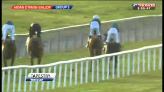 Ballydoyle gallops (part three)