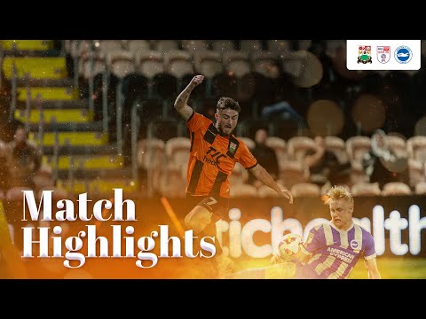bg-highlight