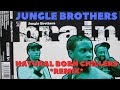 Jungle Brothers - Brain (Natural Born Chillers ...