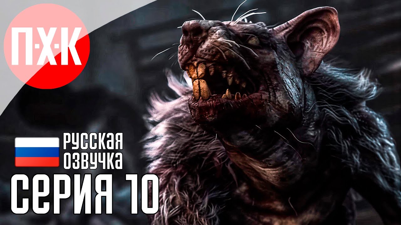 OF ASH AND STEEL Прохождение 10 ᐅ На твердых ногах.