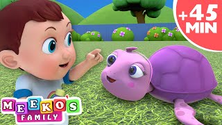 Pet Turtle Song - Baby Meeko Loves Animals! Fun Baby Songs by @meekosfamily