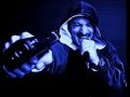 Cedry2k - raptilieni
