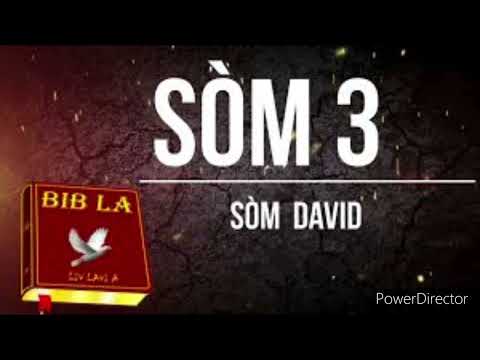 Som 3
