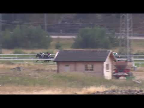 Race 6, July 21, 2018 - Bro Park, Sweden