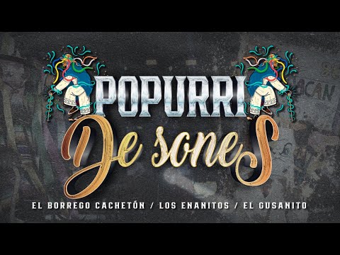 LA DINASTIA DE TUZANTLA - POPURRÍ DE SONES (EN VIVO)