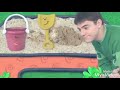 Happy New Things Episode 43 Valentine S Day Part 3
