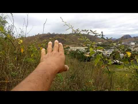 Mais um INCÊNDIO em Aperibé-RJ (APAGUEI O INCÊNDIO SOZINHO) 05/08/2021 #Crime #Ambiental