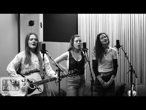 Pandafan - Selkie's Song (TFTV Live)