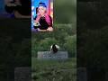 ARRUINANDO VIDEOS DE TERROR Shorts Terror Cosasdemiedo