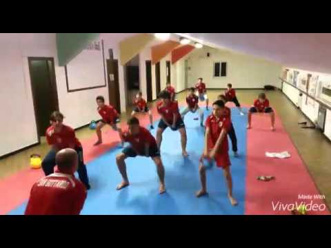 San Gottardo leva 2002