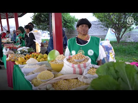 World Food Day 2025 Video Message by QU Dongyu, FAO Director-General
