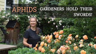 How to fight APHIDS on Roses💪 (Easy Solutions)