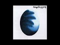 Herbert Grönemeyer - Ich will mehr - Unplugged