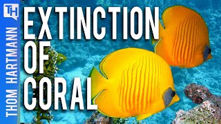 Will Climate Change Cause Coral Reefs To Go Extinct (W/ Steven Trent)