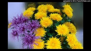Download lagu Lagu batak : Atik mp3