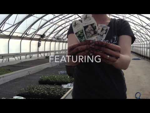 Planting Hanging Basket