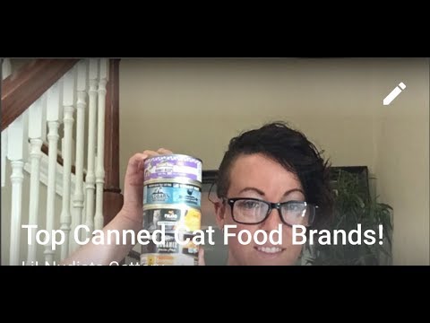 Do you know the BEST canned foods for your cat?