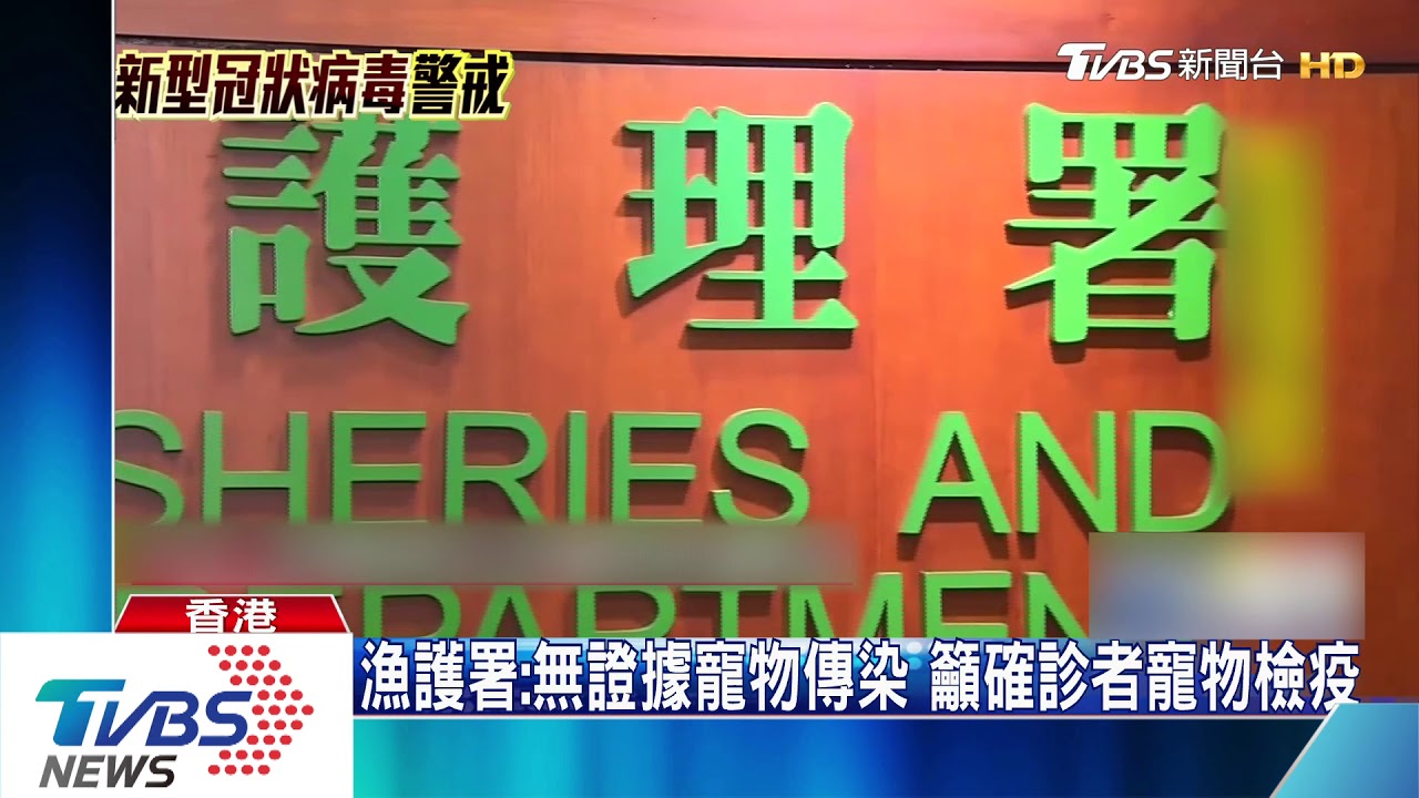 香港首例!新冠肺炎病患 家犬驗出「弱陽性」