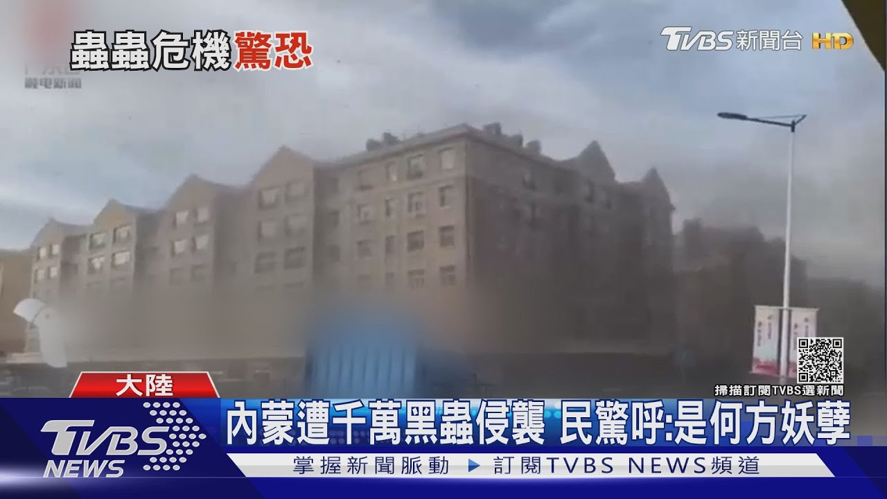 內蒙遭千萬黑蟲侵襲 民驚呼:是何方妖孽