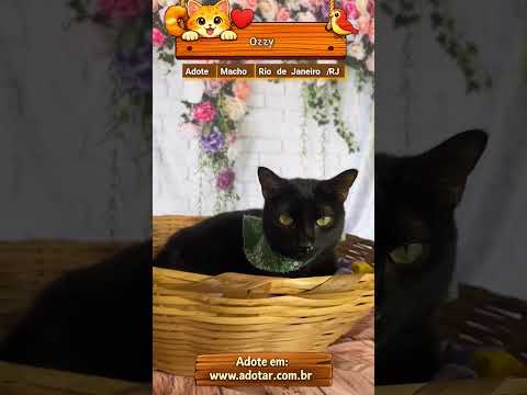 Vídeo de Ozzy