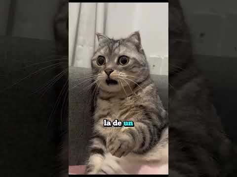 Diseños de cocodrilos grabados en el cuerpo 💪🏼🩸🐊