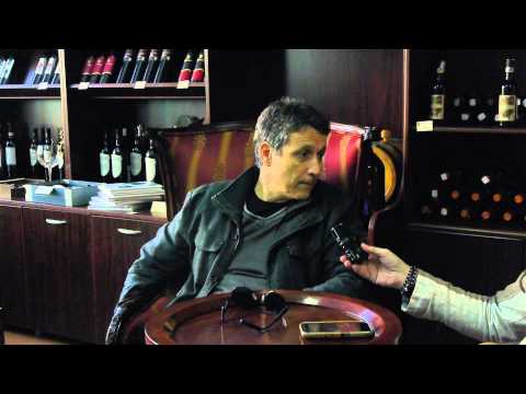 Glazbeni zvuci Terracon Newsa