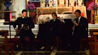 Ave Maria (Giulio Caccini) Capilla Musical "Sonos Angeli"